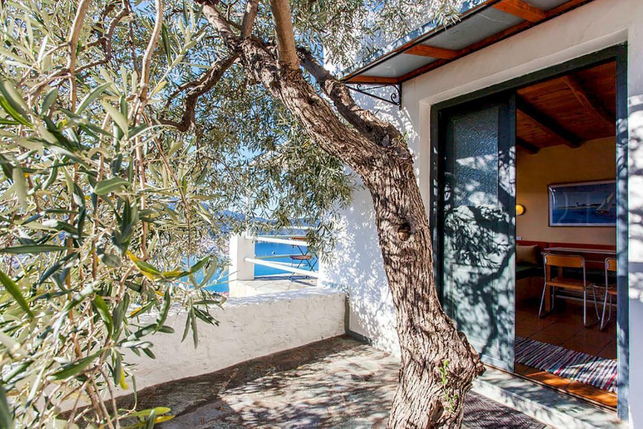 Villa Kalypso And Villa Kirki Skopelos Dış mekan fotoğraf